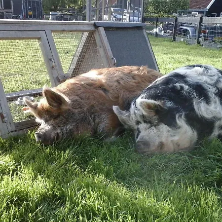 度假居 Voorhuisje Op Eiland De Woude